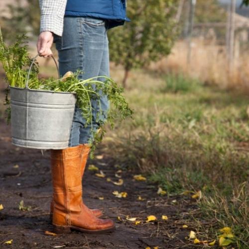 girl working in farm and holding a bucket