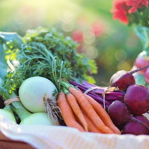 a basket of vegtables